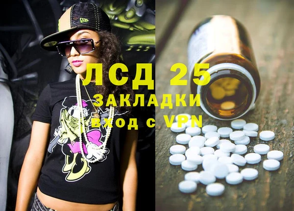гашик Аркадак