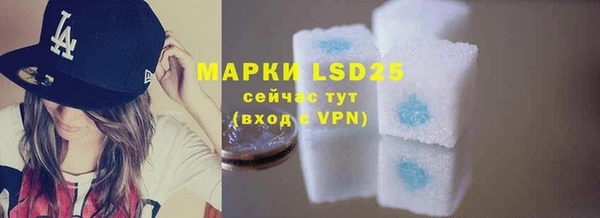 гашик Аркадак