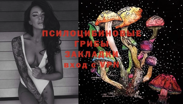 гашик Аркадак