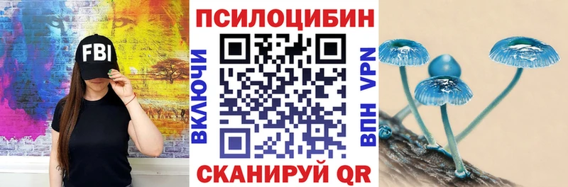 Галлюциногенные грибы Cubensis  Игра 